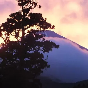 旅館 華の宿　ふくや, 箱根町